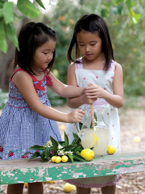 Children making lemonade